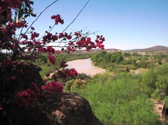 Hotel Rio Vista El Fuerte Oda fotoğraf