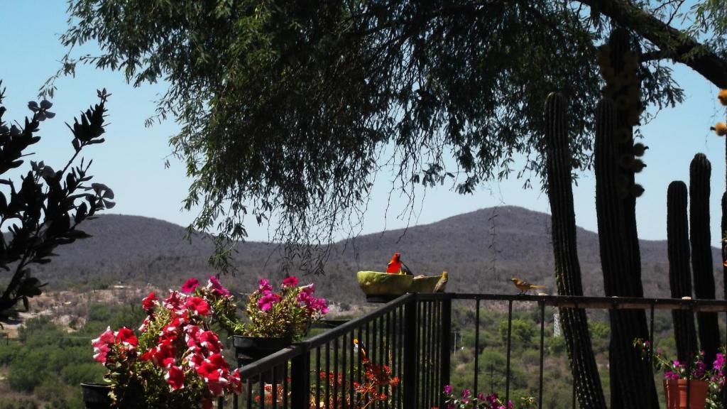 Hotel Rio Vista El Fuerte Dış mekan fotoğraf